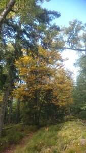 Taennchel 2025-10-12, IMG_20251012_155821