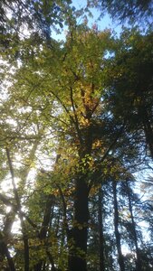 Taennchel 2025-10-12, IMG_20251012_160637