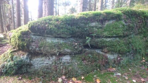 Taennchel 2025-10-12, IMG_20251012_160659
