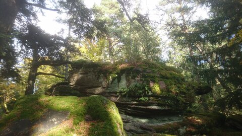 Taennchel 2025-10-12, IMG_20251012_161712