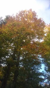 Taennchel 2025-10-12, IMG_20251012_162008