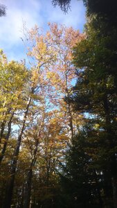 Taennchel 2025-10-12, IMG_20251012_165234