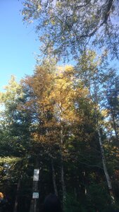 Taennchel 2025-10-12, IMG_20251012_165737