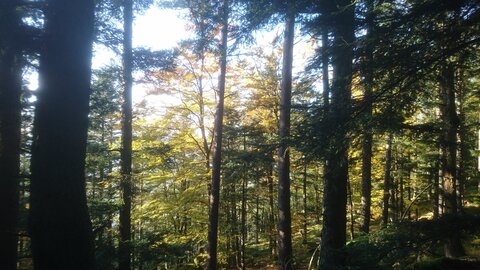 Taennchel 2025-10-12, IMG_20251012_170418