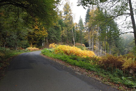 100 2510, DJI_0185