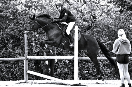 Chevaux 2020, mme-pas-froid 