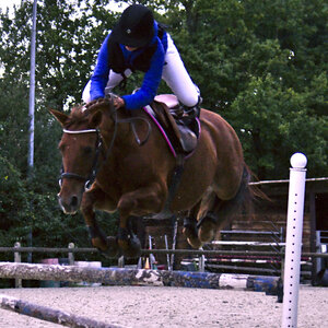 Chevaux 2020, lola-senvole 