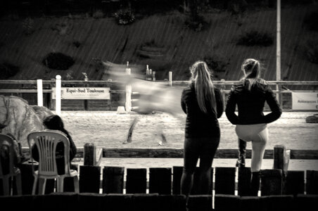 Chevaux 2020, le-cheval-fantme 