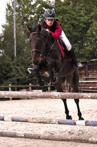 Chevaux 2020, dtermination 
