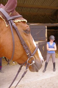 Chevaux 2020, ARJE5275 _DNG_embedded