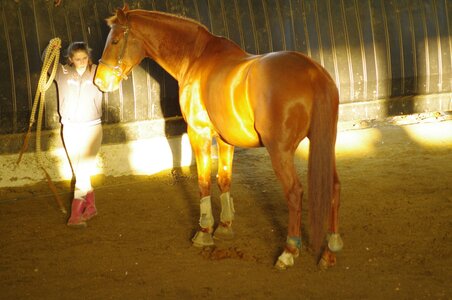 Chevaux 2020, ARJE0986 _DNG_embedded