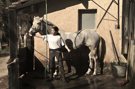 Chevaux 2020, arje1661 