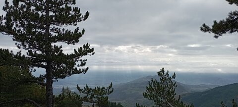 Boucle Col des Guérins - Falaises - Le Désert, DIEM0329