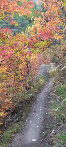 Boucle Col des Guérins - Falaises - Le Désert, FEOA6526