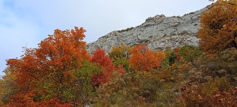 Boucle Col des Guérins - Falaises - Le Désert, HPIB4826