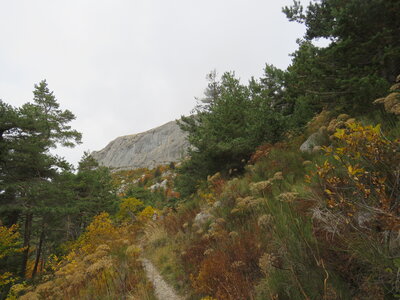 Boucle Col des Guérins - Falaises - Le Désert, IMG_1092