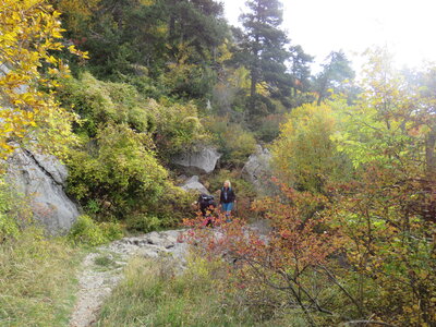 Boucle Col des Guérins - Falaises - Le Désert, IMG_1101