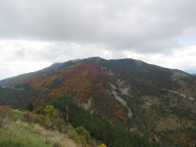 Boucle Col des Guérins - Falaises - Le Désert, IMG_1118