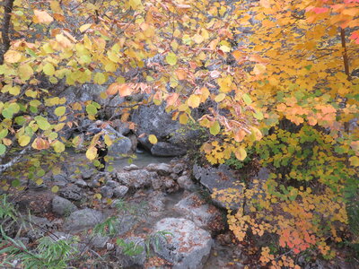 Boucle Col des Guérins - Falaises - Le Désert, IMG_1124