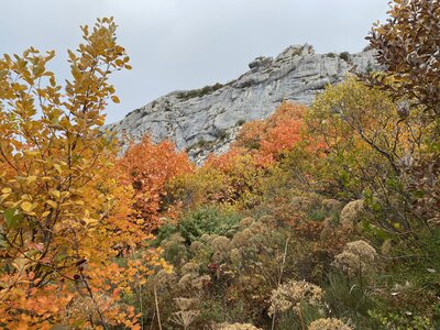 Boucle Col des Guérins - Falaises - Le Désert, IMG_3192