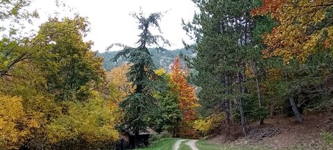 Boucle Col des Guérins - Falaises - Le Désert, QFDQ7289