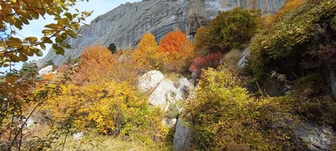 Boucle Col des Guérins - Falaises - Le Désert, VBNK7556