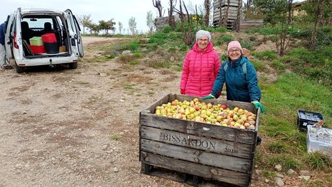 Pommes au pressoir, 2025-10-17_12-49-45