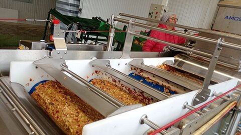 Pommes au pressoir, 2025-10-17_12-50-24