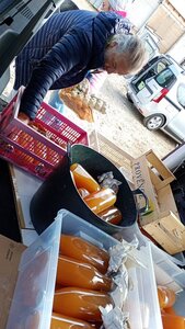 Pommes au pressoir, 2025-10-17_12-51-18