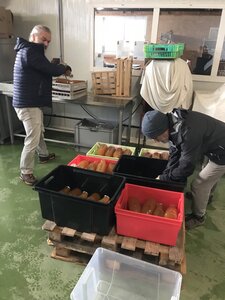 Pommes au pressoir, 2025-10-17_12-51-51