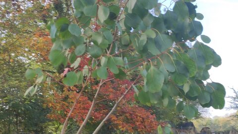 site ferme du val fleuri chambre d'hotes, img7-1