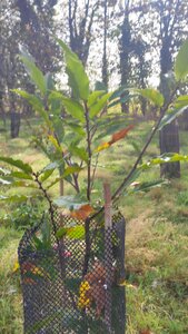 site ferme du val fleuri chambre d'hotes, img11-1