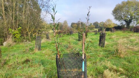 site ferme du val fleuri chambre d'hotes, img12