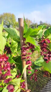 site ferme du val fleuri chambre d'hotes, img16