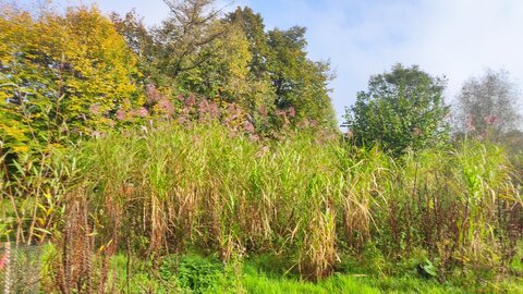 site ferme du val fleuri chambre d'hotes, img21