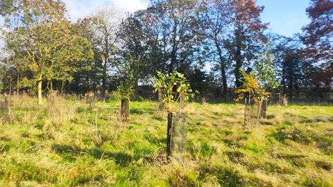 site ferme du val fleuri chambre d'hotes, img8