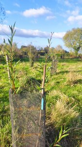 site ferme du val fleuri chambre d'hotes, img10