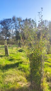 site ferme du val fleuri chambre d'hotes, img11