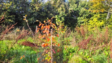 site ferme du val fleuri chambre d'hotes, img2