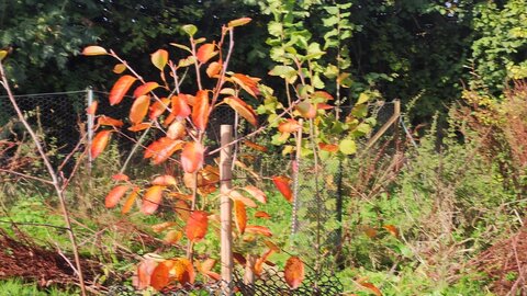 site ferme du val fleuri chambre d'hotes, img1