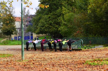 couleurs de l'automne , _DSC0178_m