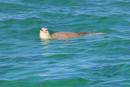 Dreamyacht 2025, 049A2722-