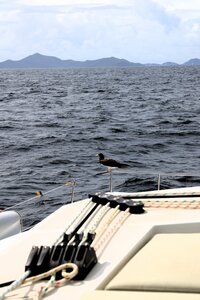 Dreamyacht 2025, 049A2501-