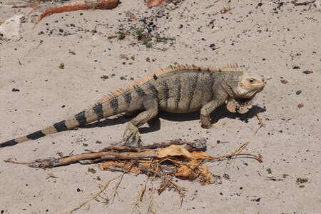 Dreamyacht 2025, 049A2701