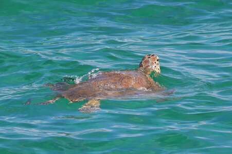 Dreamyacht 2025, 049A2728-