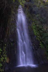 Dreamyacht 2025, 049A2931