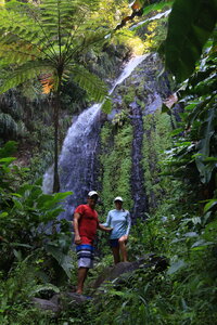 Dreamyacht 2025, 049A2941