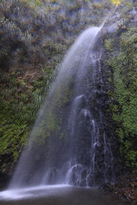 Dreamyacht 2025, 049A2976