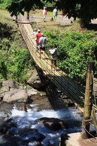 Dreamyacht 2025, 049A2988