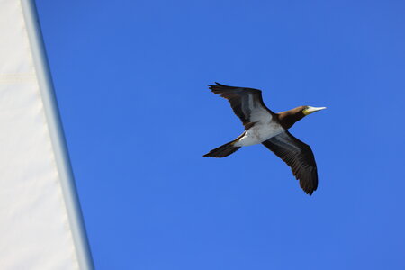 Dreamyacht 2025, 049A3048-